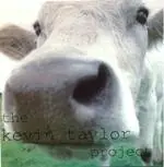 10 Curiosidades Sobre La Vaca (PostCorta)