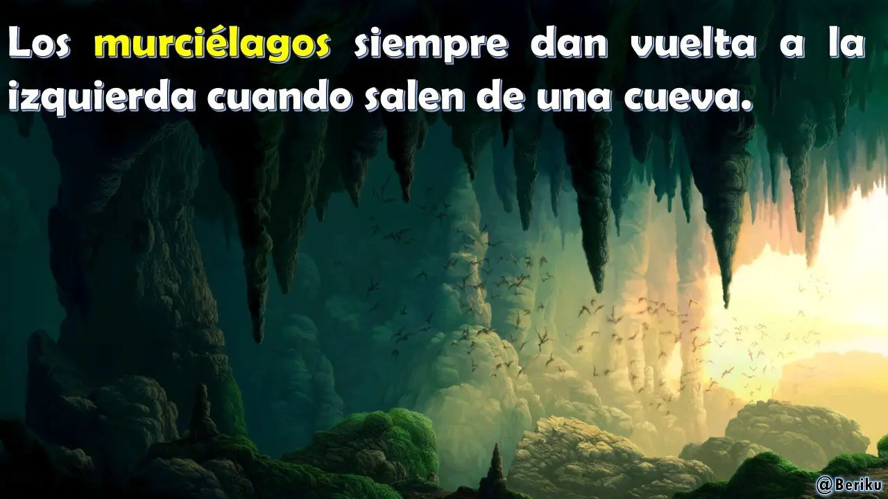 datos