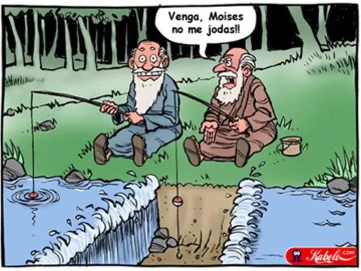 imagenes