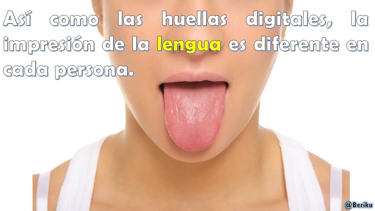Datos Curiosos del Mundo [Vol.5]