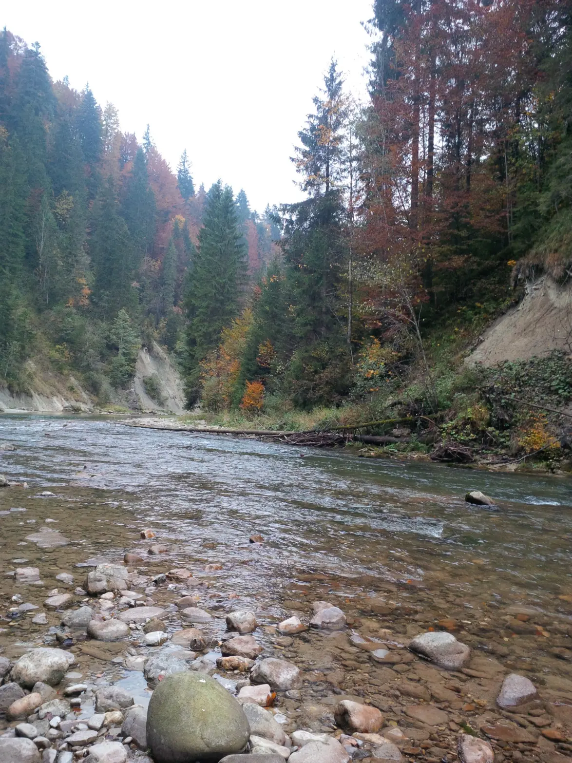 Paisaje Paisaje