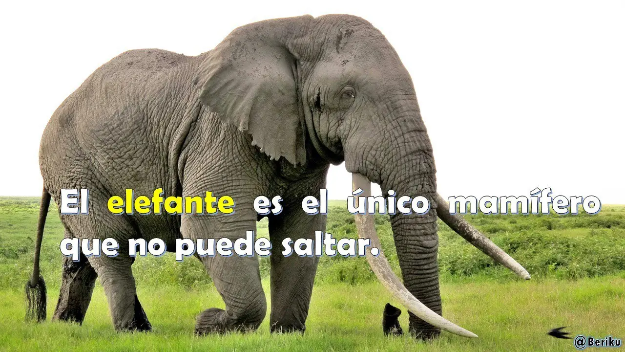 Mundo