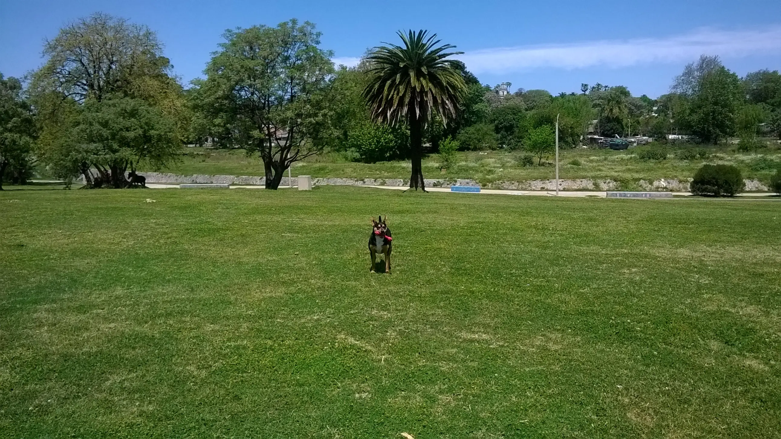 armado de piscinas