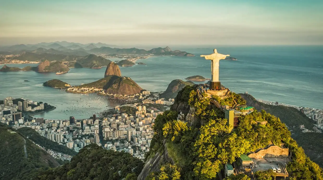 inteligencia colectiva