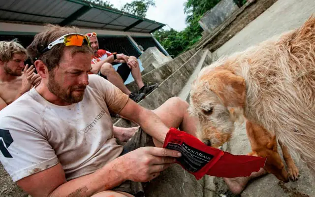 +10 a Perro callejero sigue equipo extremo y recorre 692 km