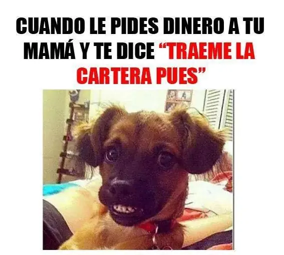 Imagenes de Humor Maquinolas