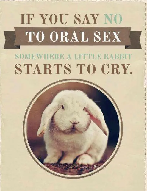 humor