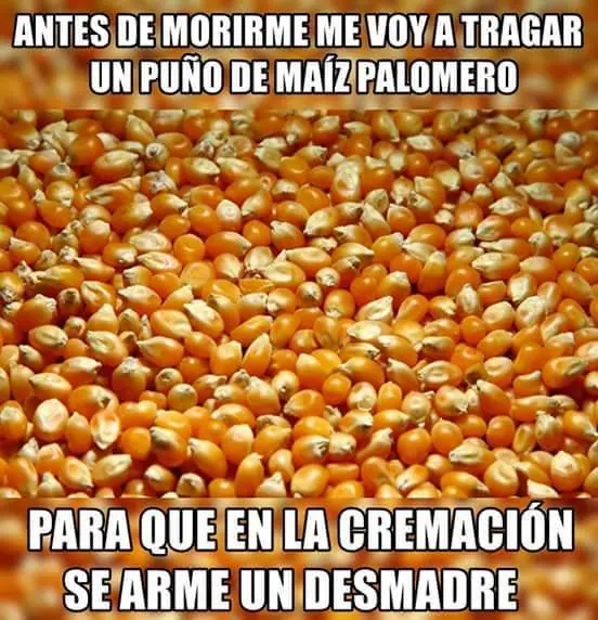 imagenes