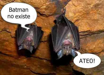 maquinolas
