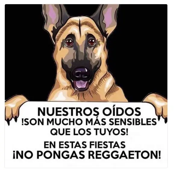 taringa