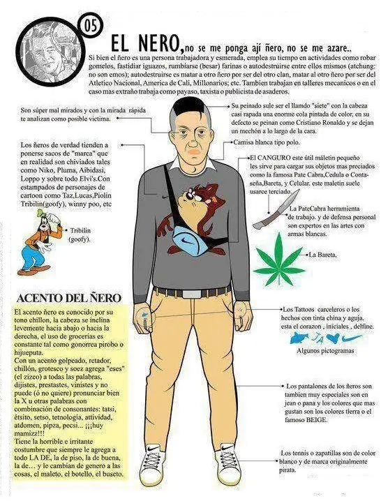 Entra y conoce cómo son los "turros" en el mundo Entra y conoce cómo son los "turros" en el mundo