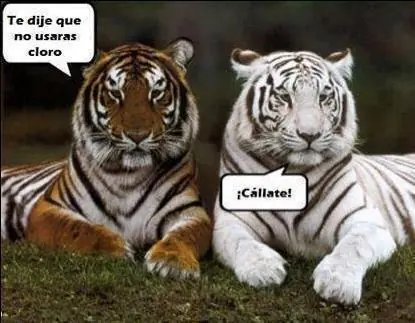 cosmicas