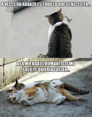 Imagenes de Humor Maquinolas