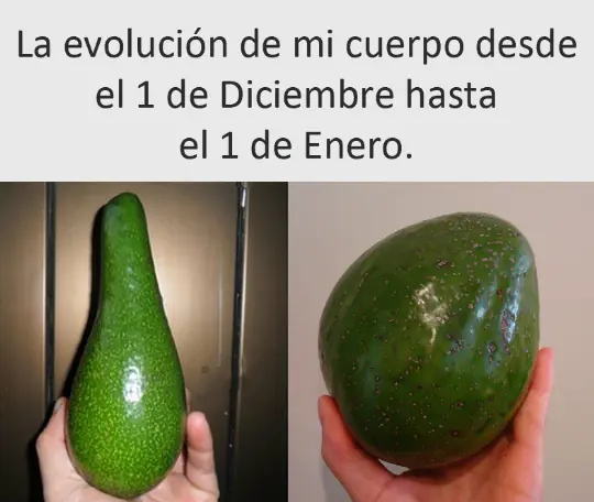 fotos