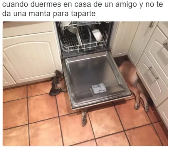 Humor Mañanero 64
