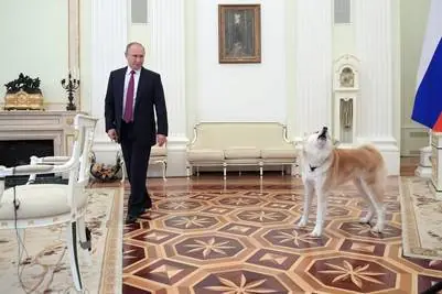 Putin Putin