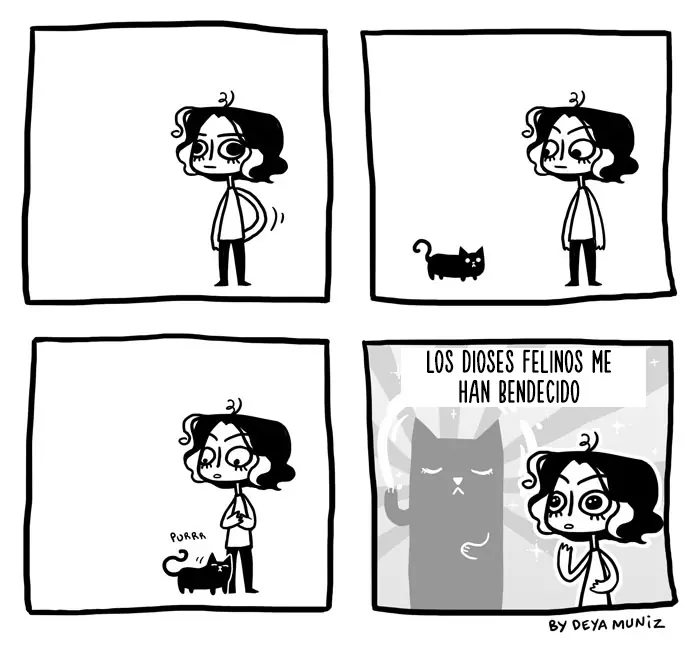 imagenes divertidas