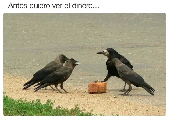 humor de viernes