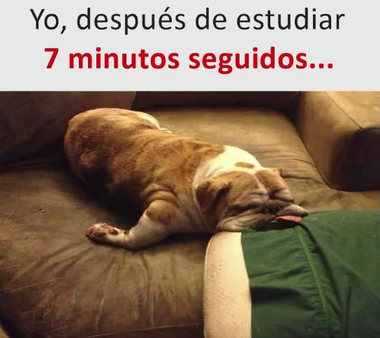 Humor de Viernes