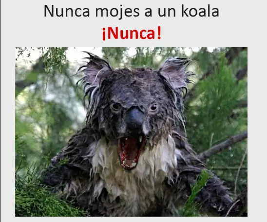 humor de viernes