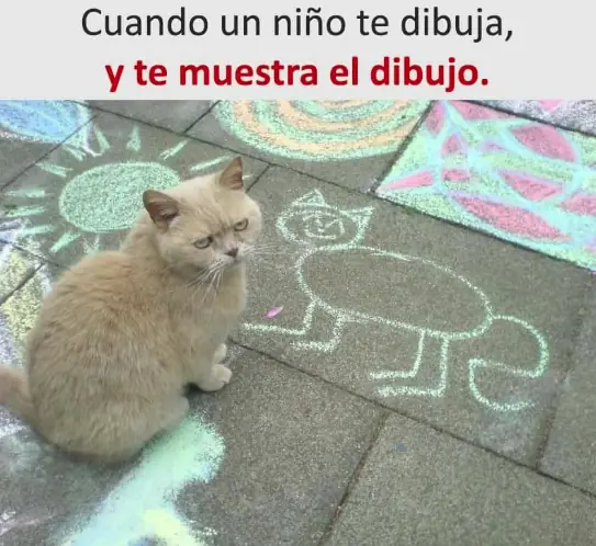 imagenes divertidas