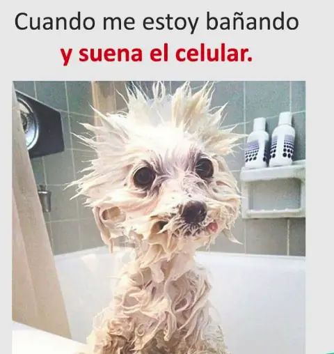 humor de viernes
