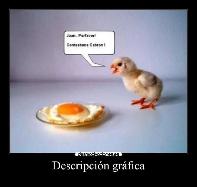 humor