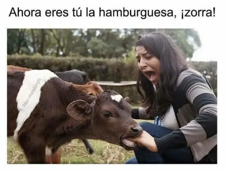 imagenes