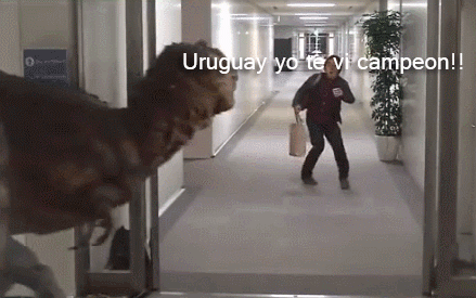 gifs