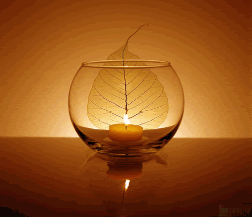 ser luz