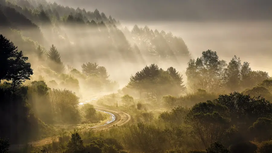 Las 25 mejores fotos de esta semana [5] [500px]