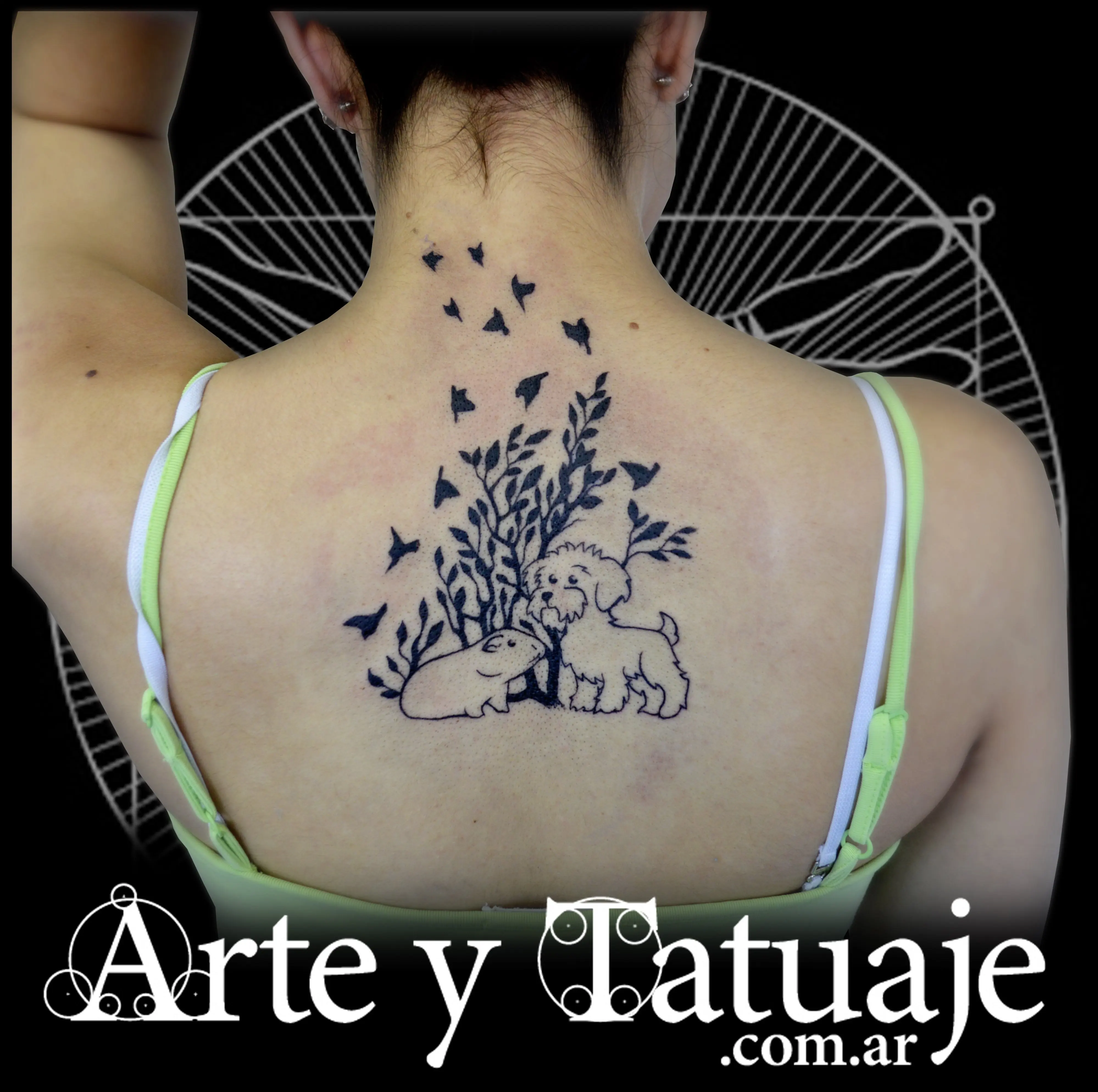Diseños exclusivos y personalizados.