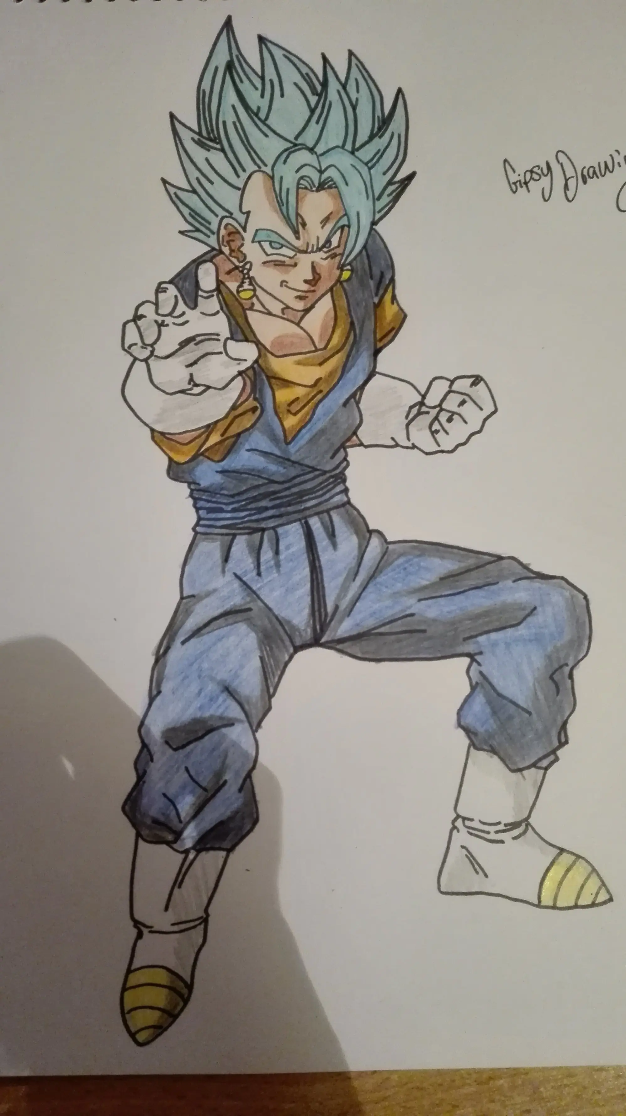 vegetto vegetto