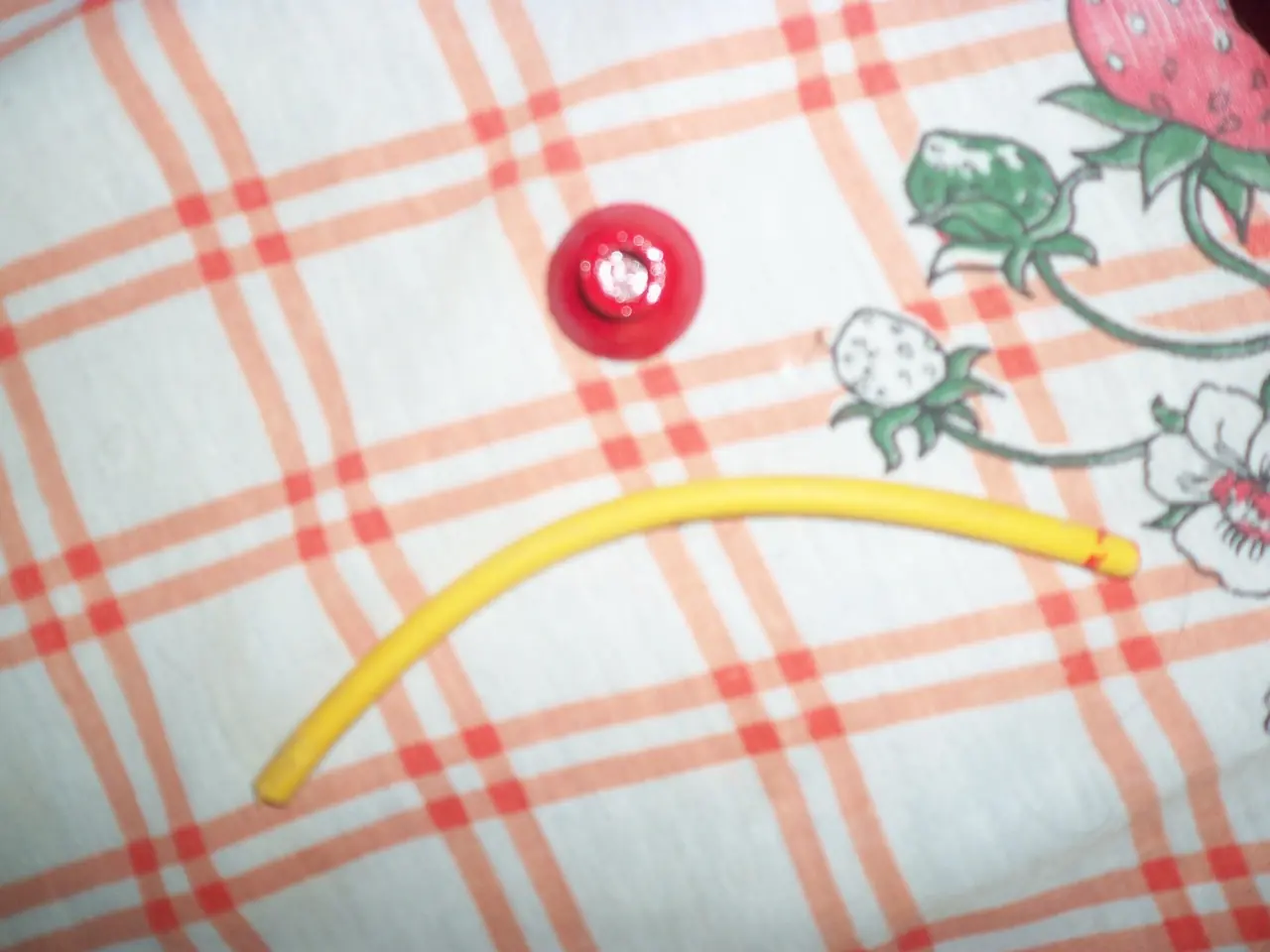 Hice el condensador de flujos de Volver Al Futuro.