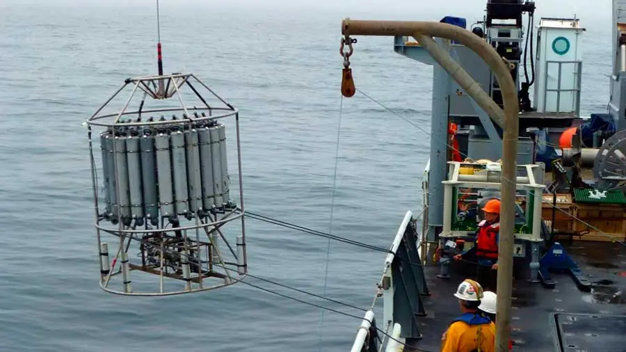 Cultivan microbio marino importante para el cambio climático