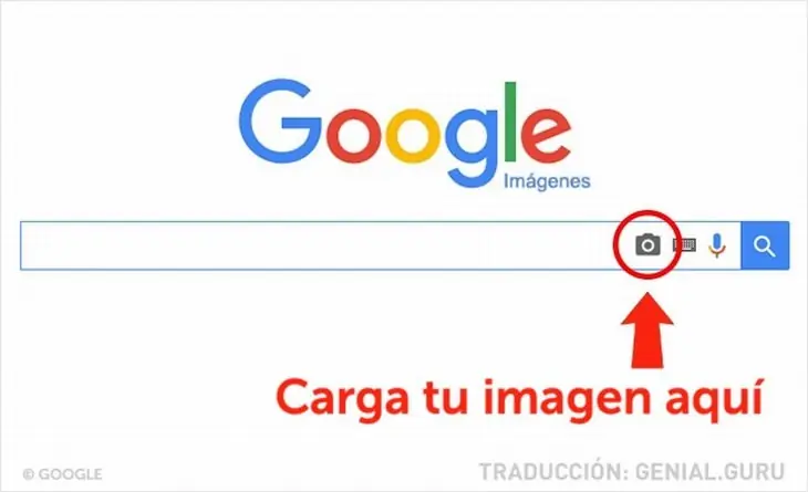 Paginas Paginas