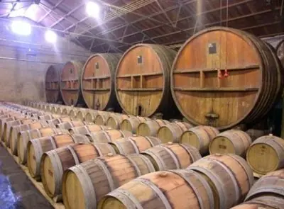 INCREIBLE! 10 cosas muy útiles descubiertas por casualidad.
