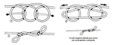 hacer