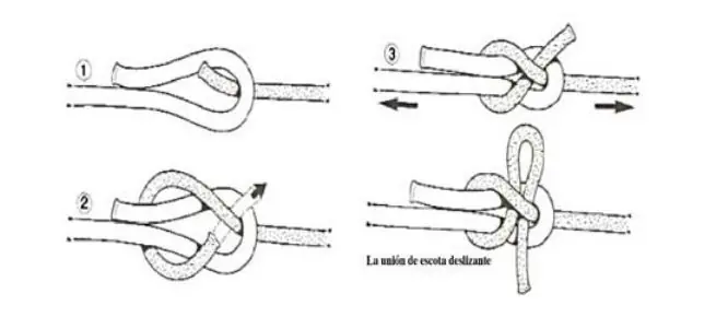 hacer