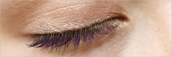 microscopio