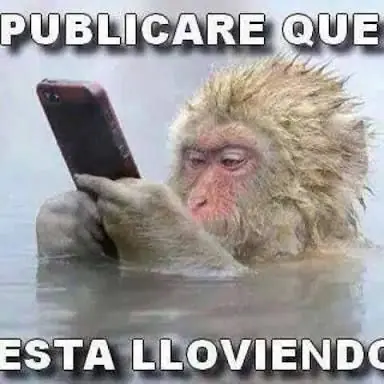 risas
