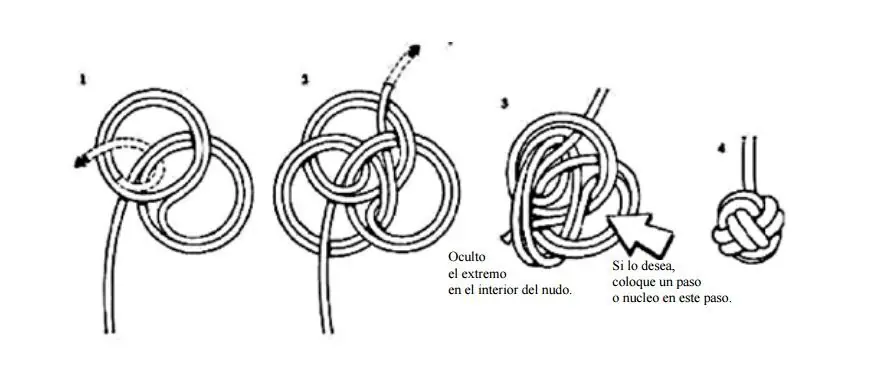 hacer