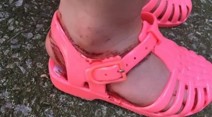 zapatillas que no se usan
