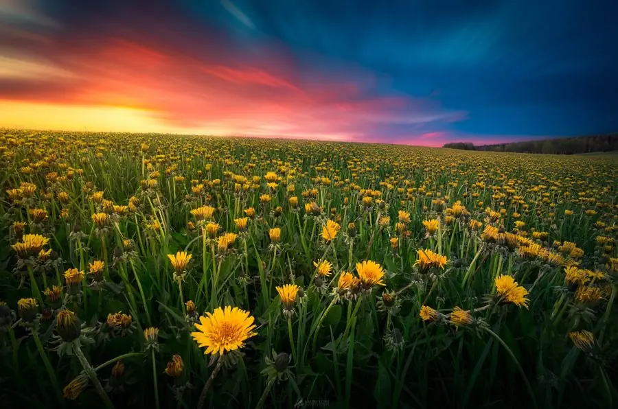 Las 25 mejores fotos de esta semana [5] [500px]
