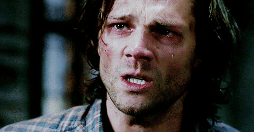 winchester winchester