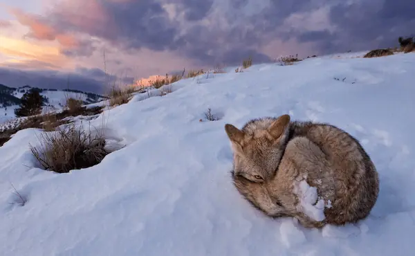 Las mejores fotografías de invierno y trucos útiles