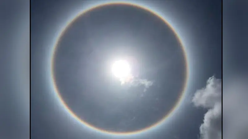 fenomeno