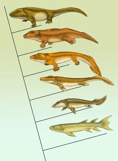 investigacion cientifica