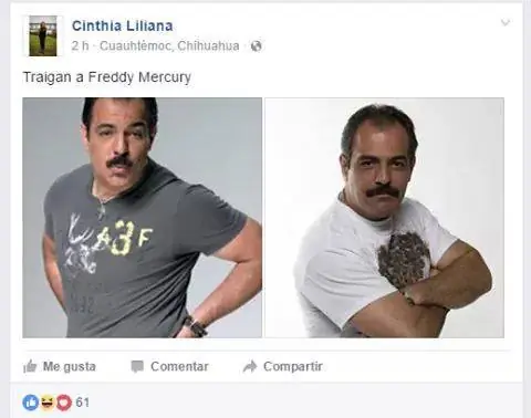 festivales