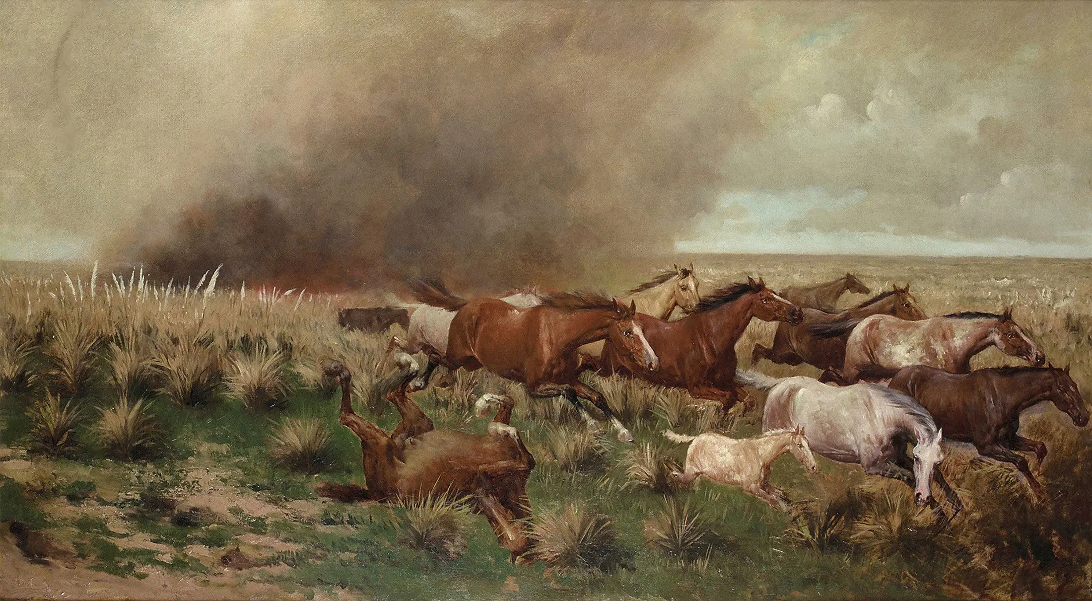 gauchos